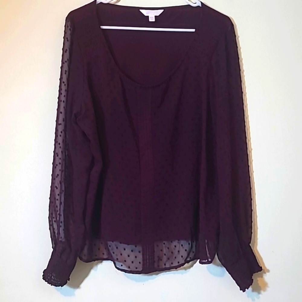 LC Lauren Conrad Purple Top Size XXL